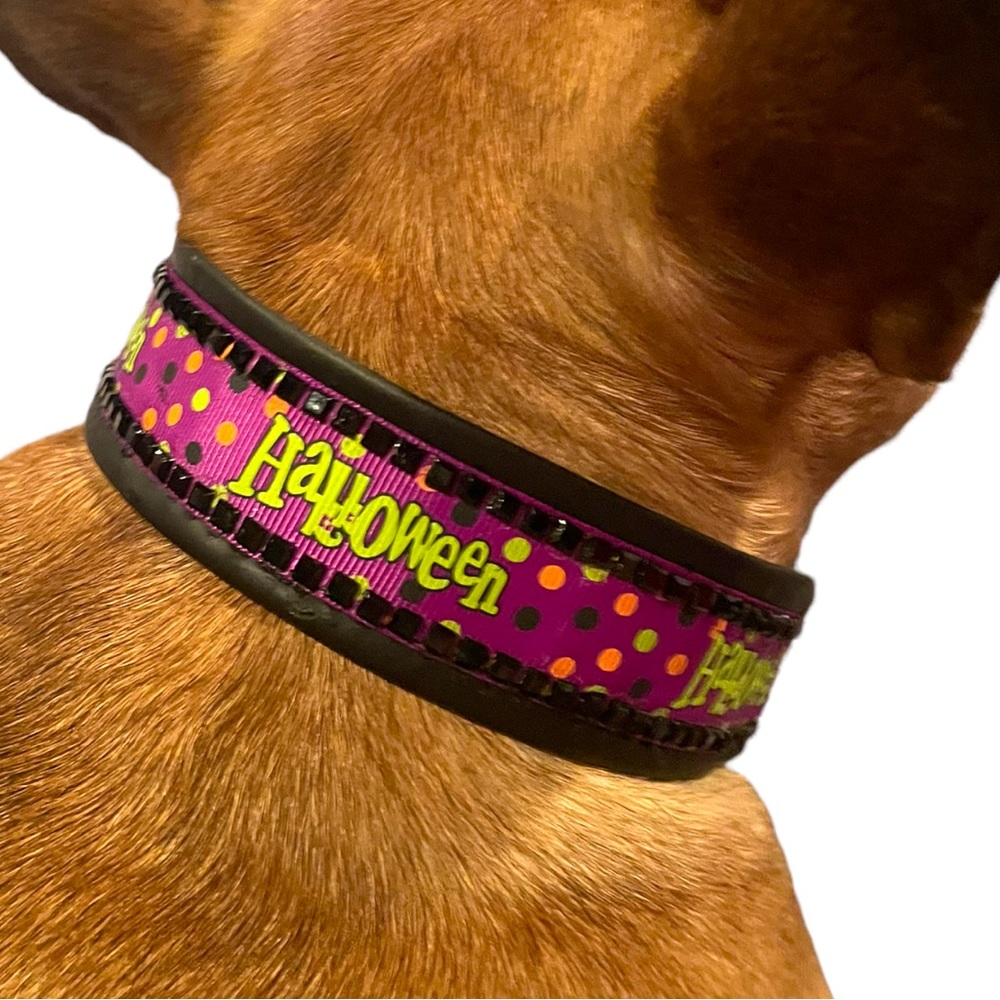 Spooky and Boujee collar